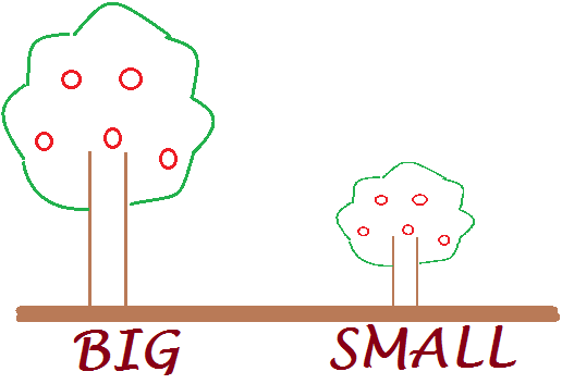 Ficha de inglés: Big & Small