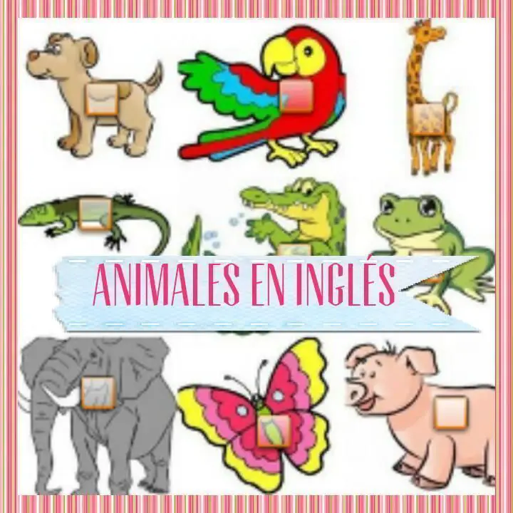 ¿Aprendemos los animales en inglés con un juego interactivo?