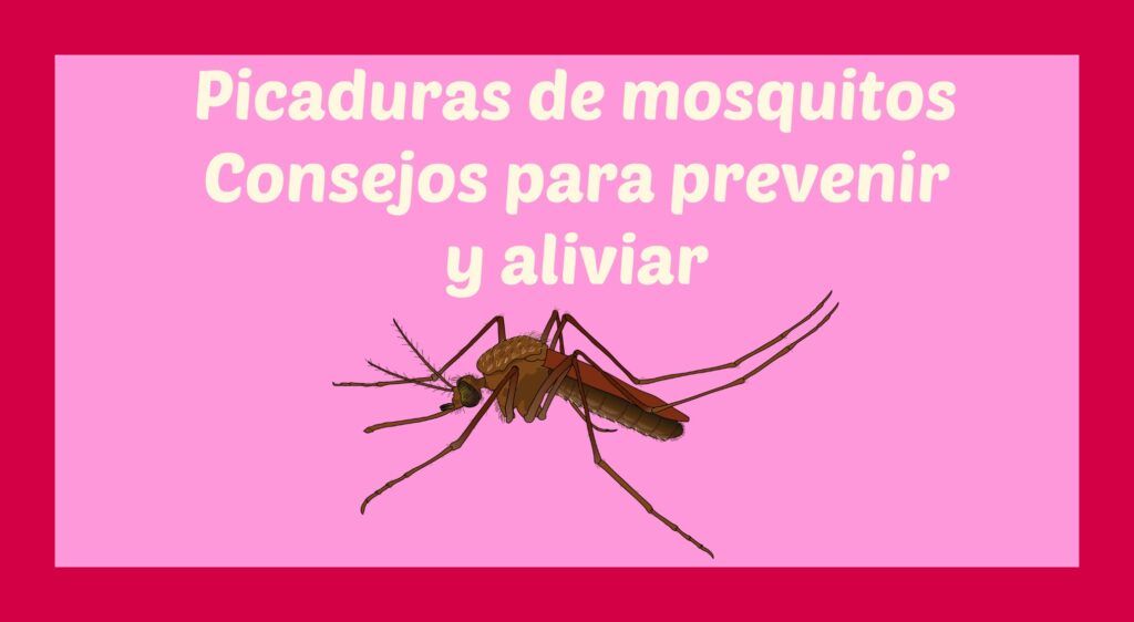 Picaduras de mosquitos en niños: Prevenir y aliviar