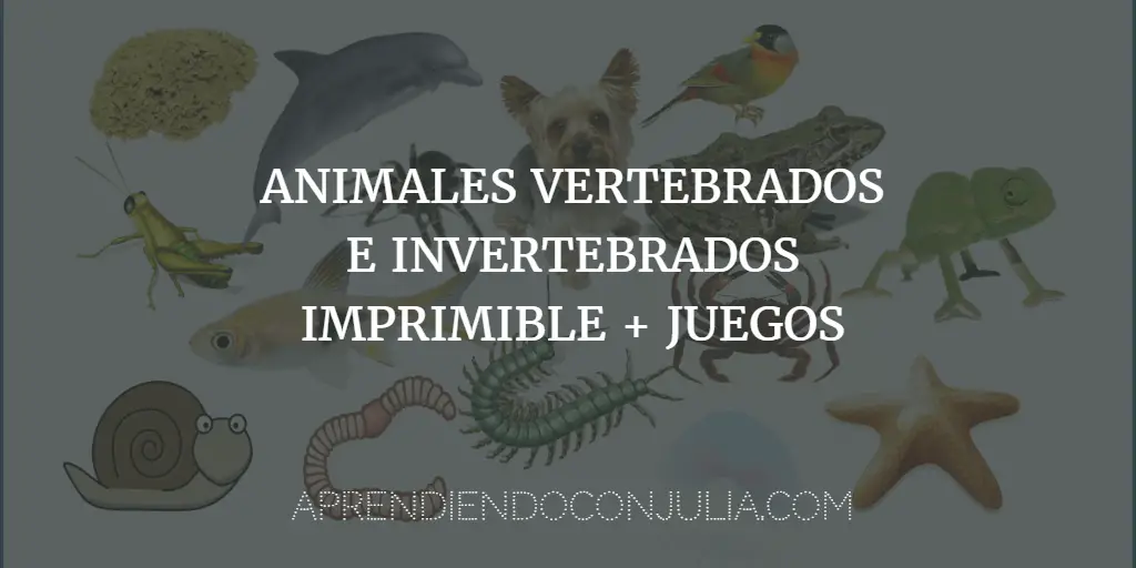 Animales vertebrados e invertebrados: Ficha imprimible y actividades online