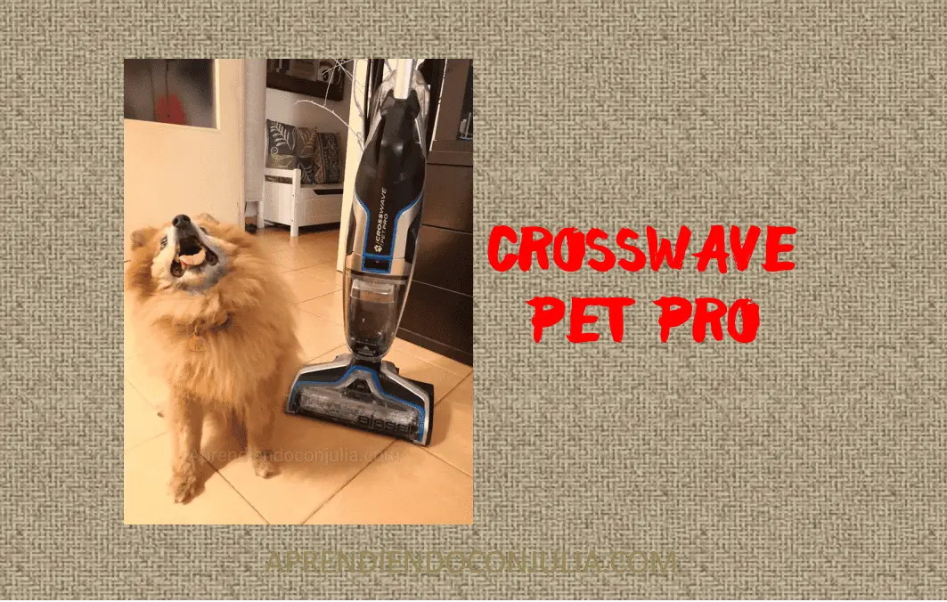 Menos limpiar y más jugar con Bissell Crosswave Pet Pro