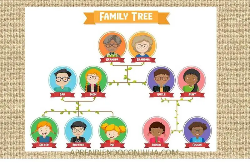 Conectando con nuestras raíces: Cómo hacer un árbol genealógico en inglés en el aula